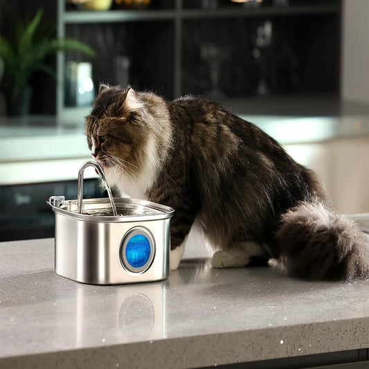 Comedouro Bebedouro Automático em Aço Inoxidável ZYfeeder para Gatos